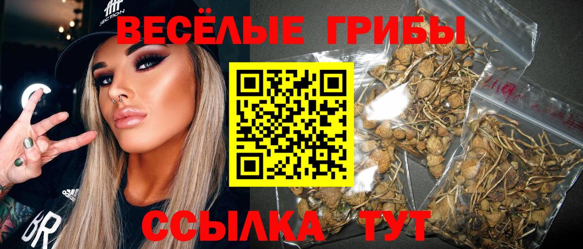 Сергиев Посад  Псилоцибиновые грибы Cubensis  где купить наркоту  Вход с VPN 